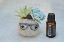 Load image into Gallery viewer, Stone Softie Vehicle Vent Clip/ Essential Oil Diffuser - Pistachio and Sky Blue Succulents With Driving Glasses