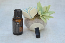 Load image into Gallery viewer, Stone Softie Vehicle Vent Clip/ Essential Oil Diffuser - Pistachio and Sky Blue Succulents With Driving Glasses