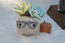 Load image into Gallery viewer, Stone Softie Vehicle Vent Clip/ Essential Oil Diffuser - Pistachio and Sky Blue Succulents With Driving Glasses