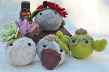 Load image into Gallery viewer, Stone Softie Vehicle Vent Clip/ Essential Oil Diffuser - Cactus Roadie