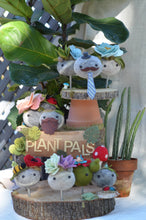 Load image into Gallery viewer, Stone Softie Plant Pal - Pea Green Succulent Stack