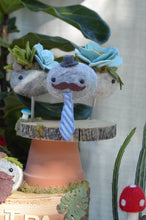 Load image into Gallery viewer, Stone Softie Plant Pal - Business Time