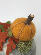 Load image into Gallery viewer, Felted Wool Stone Softie - Pumpkin Patch