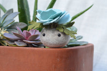 Load image into Gallery viewer, Stone Softie Plant Pal - Sky Blue Bloom

