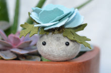 Load image into Gallery viewer, Stone Softie Plant Pal - Sky Blue Bloom
