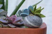 Load image into Gallery viewer, Stone Softie Plant Pal - Mossy Green and Pale Blue Succulent
