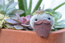 Load image into Gallery viewer, Stone Softie Plant Pal - Beardie Dude

