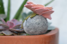 Load image into Gallery viewer, Stone Softie Plant Pal - Blush Bloom
