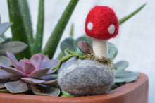 Load image into Gallery viewer, Stone Softie Plant Pal - Red Toadstool

