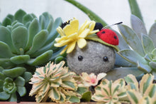 Load image into Gallery viewer, Stone Softie Plant Pal - Ladybug and Yellow Bloom
