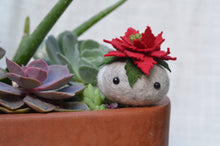 Load image into Gallery viewer, Stone Softie Plant Pal - Poinsettia Pal
