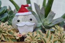 Load image into Gallery viewer, Stone Softie Plant Pal - Santa
