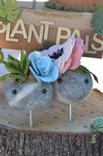 Load image into Gallery viewer, Stone Softie Plant Pal - Blush Bloom
