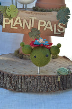 Load image into Gallery viewer, Stone Softie Plant Pal - Mr. Prickly
