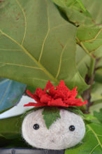 Load image into Gallery viewer, Stone Softie Plant Pal - Poinsettia Pal
