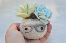 Load image into Gallery viewer, Stone Softie Vehicle Vent Clip/ Essential Oil Diffuser - Pistachio and Sky Blue Succulents With Driving Glasses
