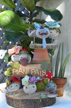 Load image into Gallery viewer, Stone Softie Plant Pal - Pea Green Succulent Stack
